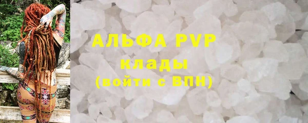 прущие грибы Балабаново