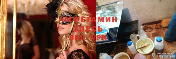 прущие грибы Балабаново