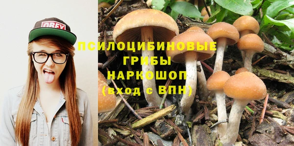 мяу мяу мука Баксан
