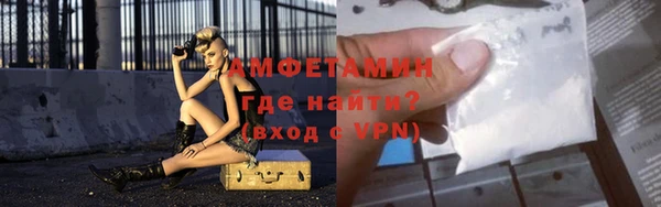 прущие грибы Балабаново