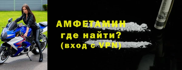 прущие грибы Балабаново