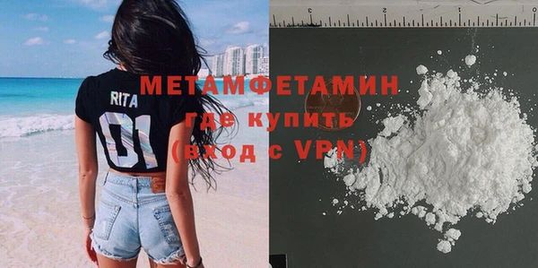 прущие грибы Балабаново