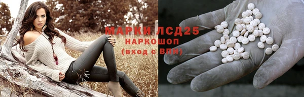 мяу мяу мука Баксан